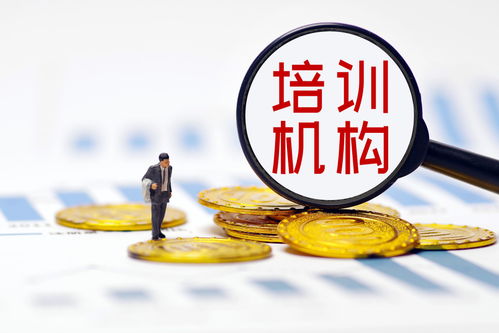 雙減政策落地重塑行業(yè)生態(tài)，培訓(xùn)機(jī)構(gòu)探尋轉(zhuǎn)型之路——多家A股上市公司發(fā)文回應(yīng)，公共就業(yè)服務(wù)或迎新機(jī)遇